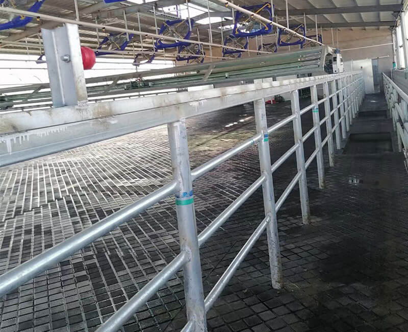 Cow Mat